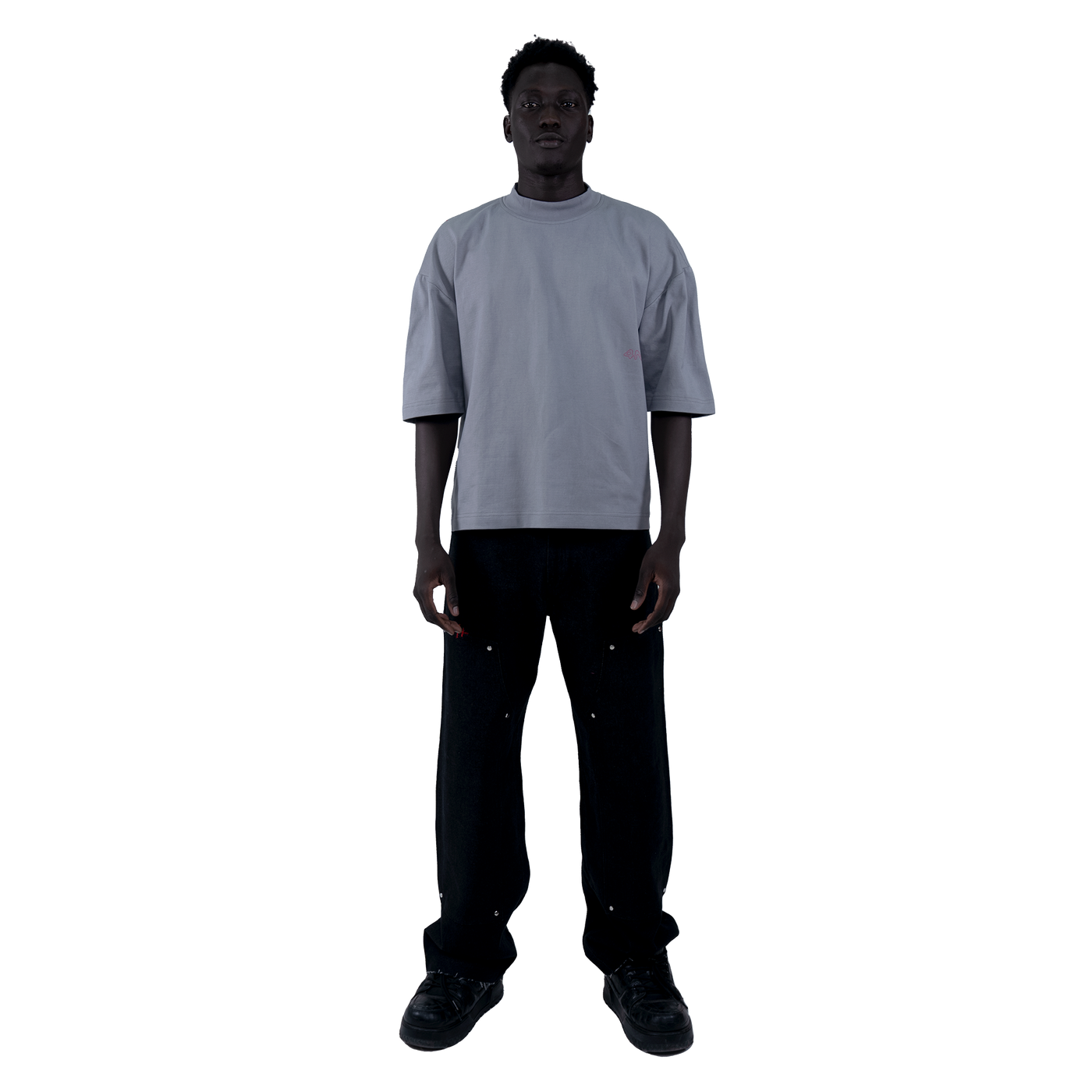 ts003