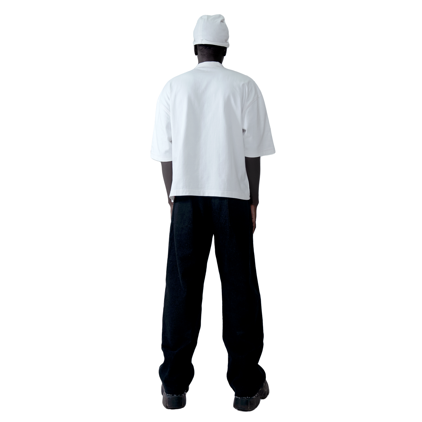 ts001