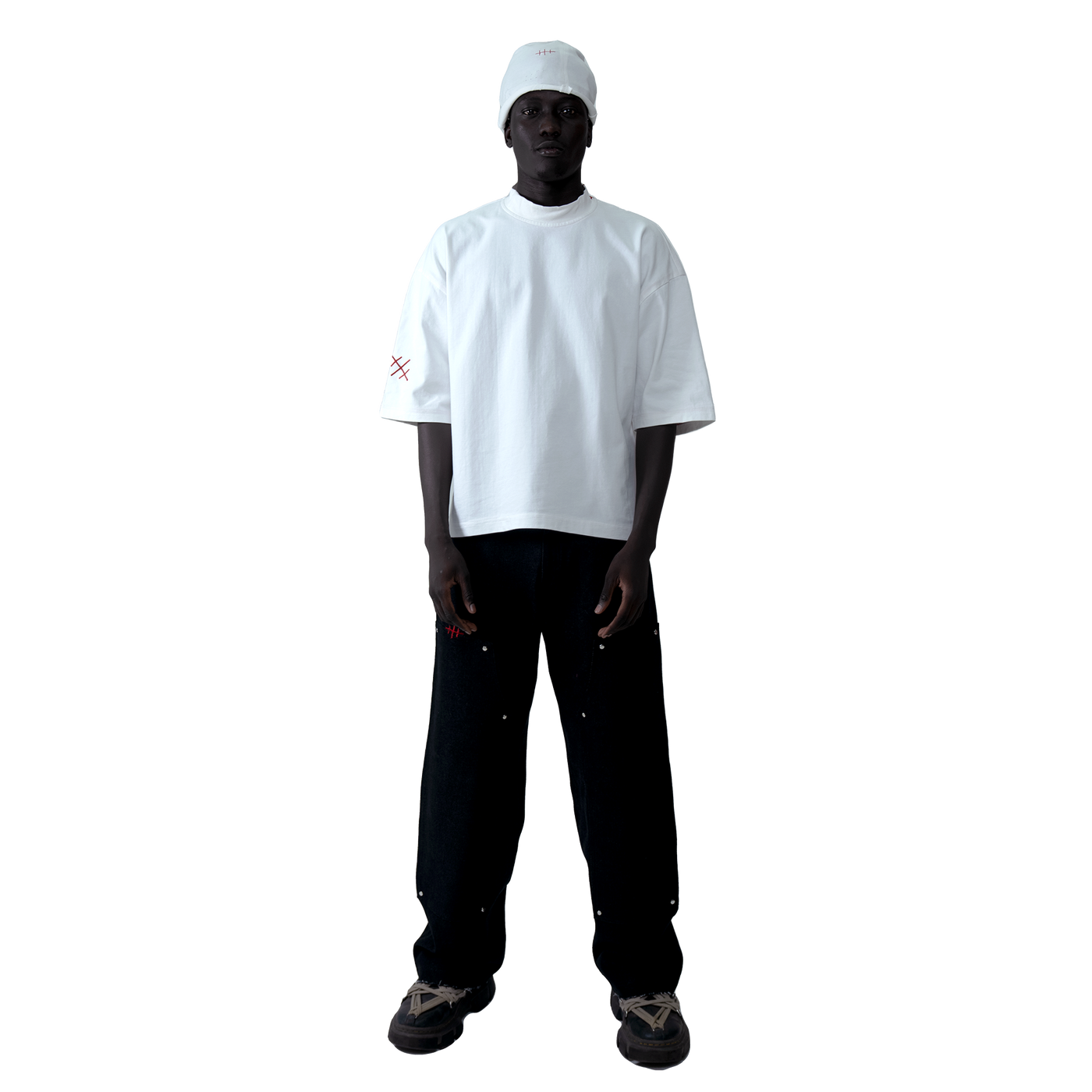 ts001