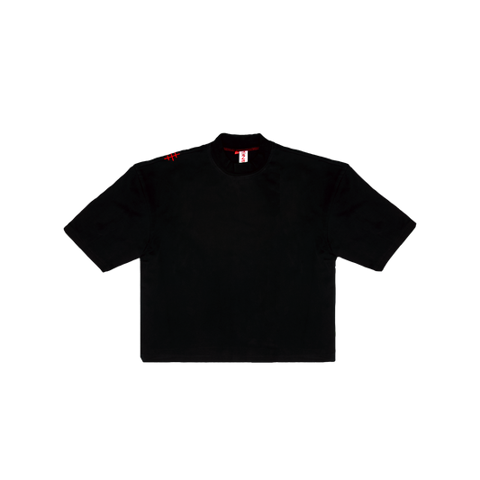 ts002