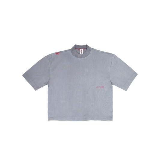 ts003
