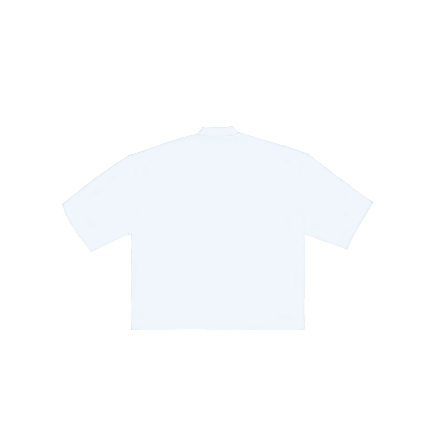 ts001