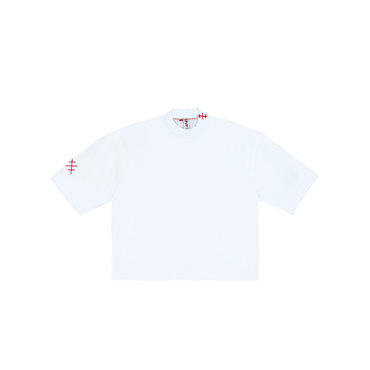 ts001